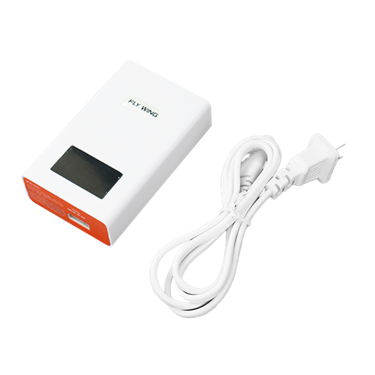 Fly Wing Bell-206 V3 6CH RC GPS Stabilized Scale helicopter | India