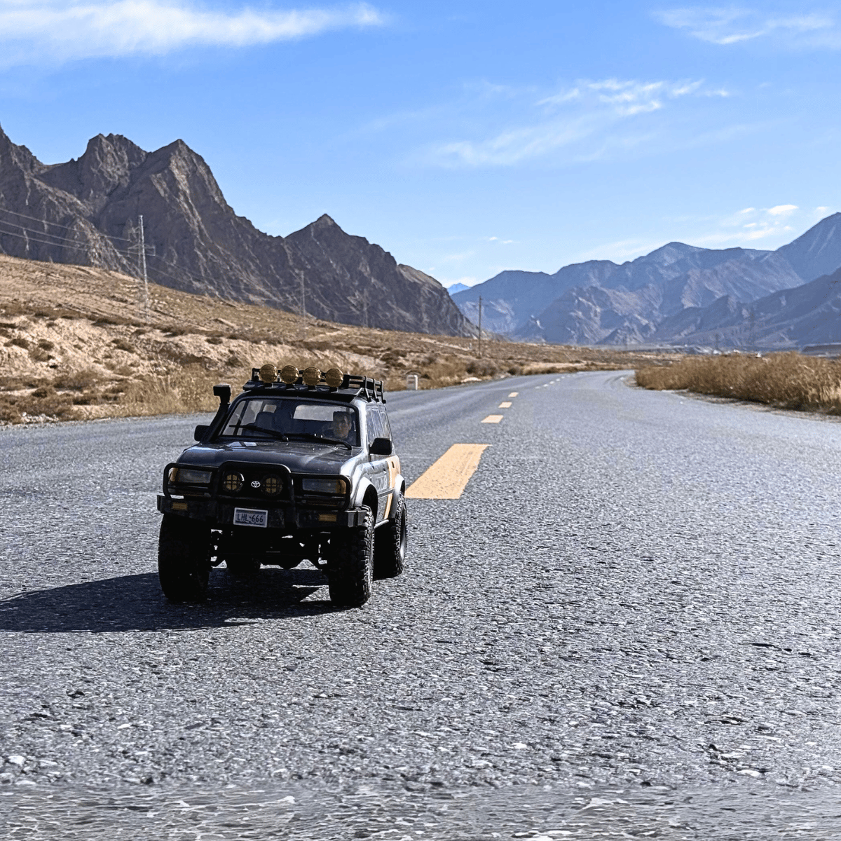 FMS 1:10 FCX10 LC80 Toyota Land Cruiser 80 RS | India