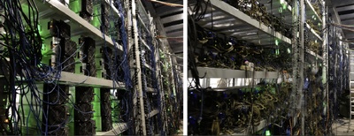 A vibrant Brazilian mining farm showcasing the array of mining rigs in operation